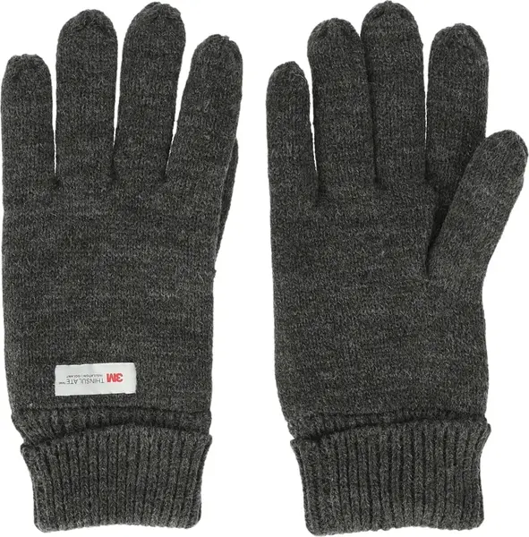 Pánské rukavice Whistler Roumat