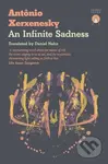 An Infinite Sadness - Antonio Xerxenesky - kniha z kategorie Společenská beletrie