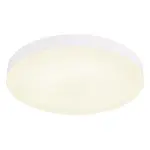 Luster 12384-36W White 36W Cct Pl1