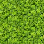 Sklenený panel 60/60 Evergreen-1 Esg