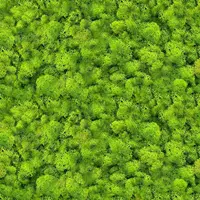 Sklenený panel 60/60 Evergreen-1 Esg