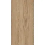 Treniwood Beige 59,8/119,8