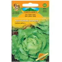 Šalát hlávkový celoročný