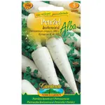 Petržlen koreňový Alba