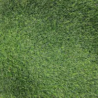 Travní koberec Capri 1X2M