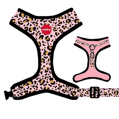 Reedog LEO PINK | Kšíry pro psa - XXS