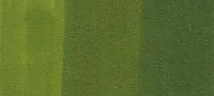 Copic Ciao marker – G29 Pine Tree Green