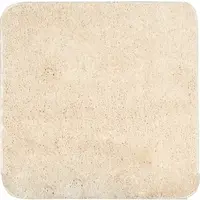 Kúpeľňová predložka Optima 55x55 cm v prevedení béžovej PRED302