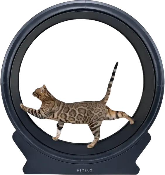 Kolo Petlux tréningové pro kočky V2 černé bez osvětlení