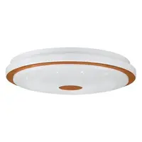 LED stropné osvetlenie Eglo LANCIANO 1 900598