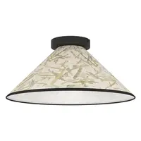 Stropné osvetlenie Eglo OXPARK čierna 43941