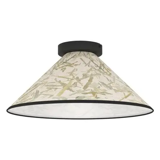 Stropné osvetlenie Eglo OXPARK čierna 43941