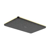 Hansgrohe Raindance Alive Q hlavová sprcha na strop alebo na stenu leštený vzhľad zlata 24531990