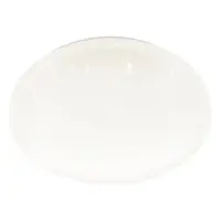 Eglo Frania-s stropné svetlo do kúpeľne oceľ 900619