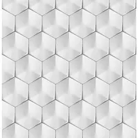 Skleněný panel 60/60 Polar Hex Esg
