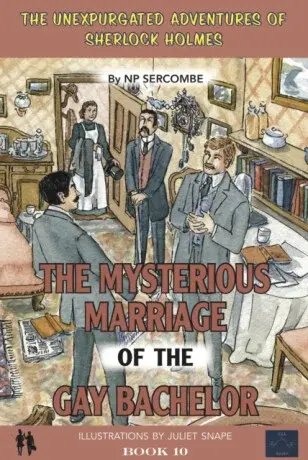 The Mysterious Marriage of the Gay Bachelor - NP Sercombe