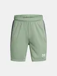 Boys' shorts Under Armour UA B's Ch. Knit Short - Boys