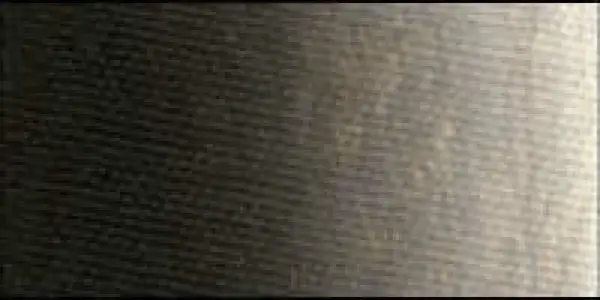 Olejová barva Old Holland 40ml – 355 Sepia Extra