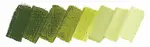 Olejová barva Mussini 35ml – 534 transparent golden green