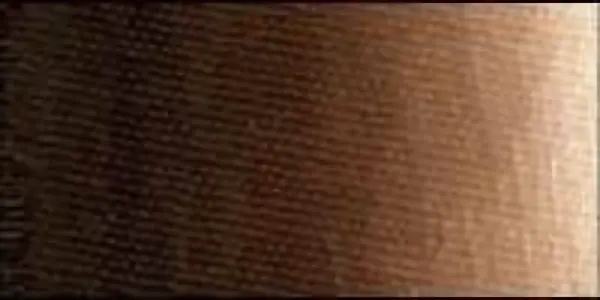 Olejová barva Old Holland 40ml – 349 Red Umber