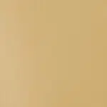 Akrylová barva Basics 22ml – 434 unbleached titanium