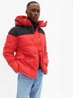 GAP Zimní bunda s kapucí - Pánské