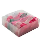 Compactor Organizace šatníku - Organizér do zásuvky 10x31x31 cm RAN6318