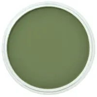 PanPastel 9ml – 660.3 Chromium Oxide Green Shade