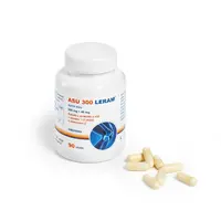 ASU 300 LERAM tob.90