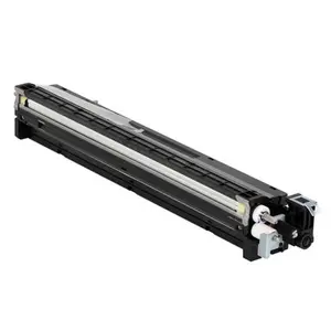 Ricoh D1773035 černý (black) originální developer