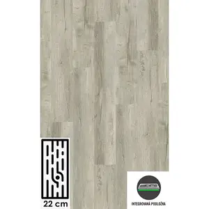 Vinylová podlaha - Dub Popelavý 5,0 mm