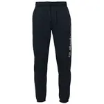 Quiksilver GRAPHIC JOGGER Pánske tepláky, tmavo modrá, veľkosť