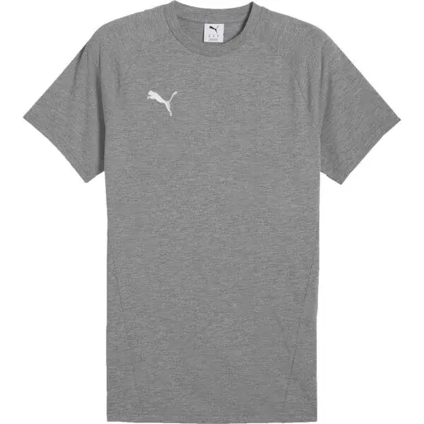 Puma TEAMEVOSTRIPE TEE Pánske tričko, sivá, veľkosť