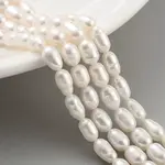 Natural Cultured Freshwater Pearl Beads Strands