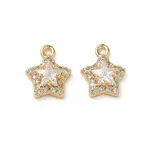 Brass Micro Pave Clear Cubic Zirconia Charms