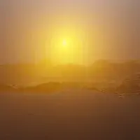 Wreckberries – Sherman's March