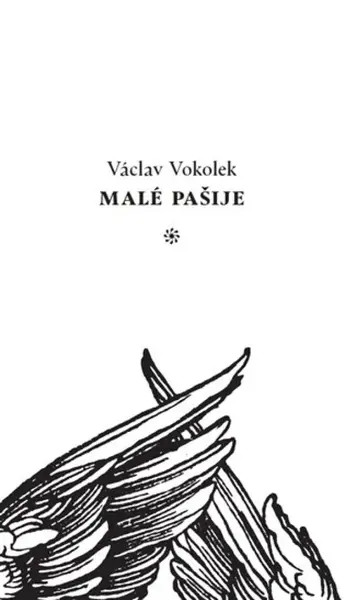 Malé pašije - Václav Vokolek