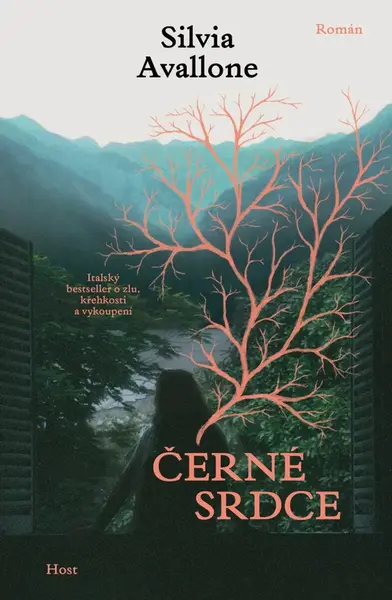 Černé srdce (poškozená) - Silvia Avallone