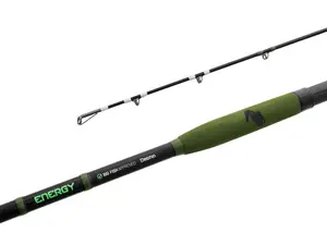Delphin prut energy catfish 3,1 m 250-500 g