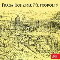 Různí interpreti – Au revoir, Prague