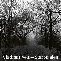 Vladimír Veit – Starou alejí