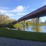 Jiří Bayer – DistorzAmb