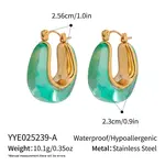 Stainless Steel Resin Hoop Earrings