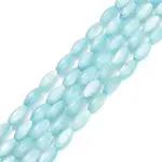 Natural Freshwater Shell Beads Strands