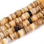 Natural Freshwater Yellow Shell Beads Strands