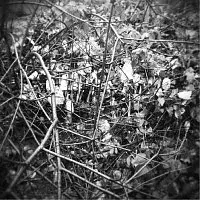 Germanian Filter – Male Flange