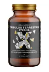 BrainMax Tribulus Terrestris Strong 60 kapslí