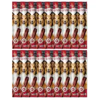 Akinu SALAMI Hovězí tyčka pamlsek pro psy 18 x 12 g