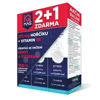 Iq Mag Hořčík 375mg+vit.b6 šum.tbl.40+20