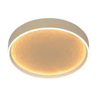 STROPNÍ LED SVÍTIDLO, 40/6,5 cm